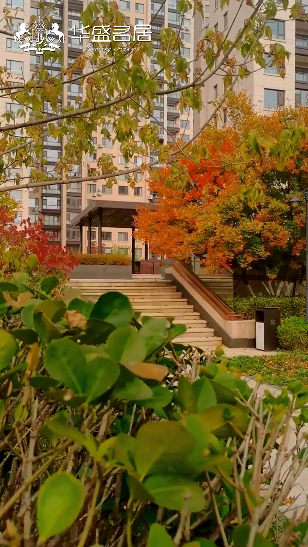 【华盛名居】-秋景 